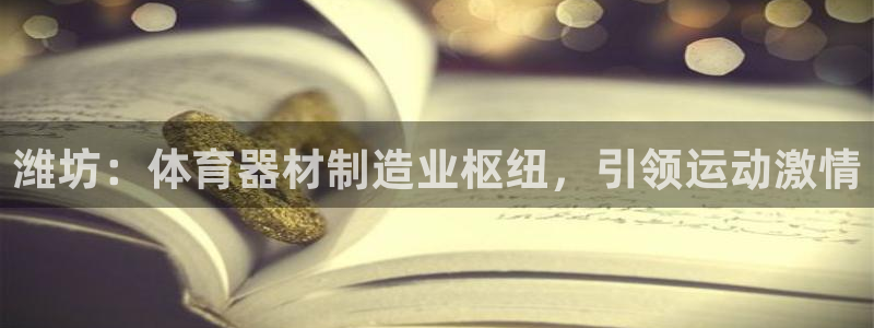 尊龙长相评价