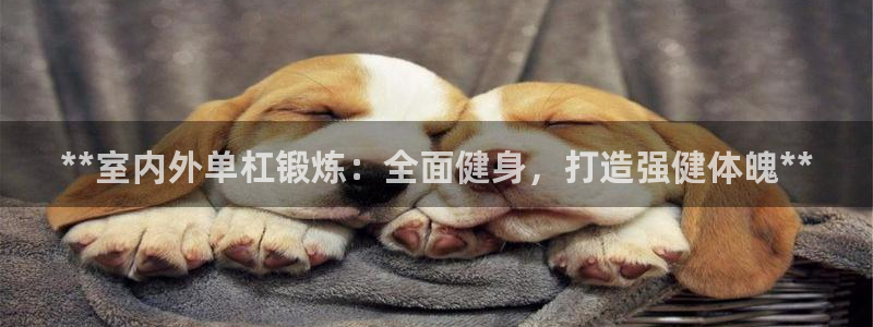 尊龙凯时网站首页手机登录