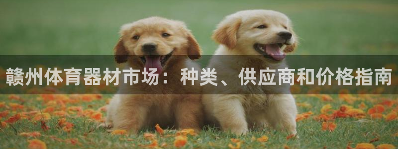 尊龙实业有限公司属于国企吗