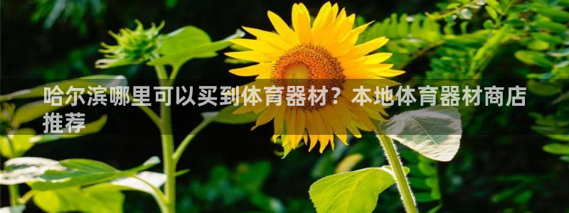 尊龙凯时美金能提取吗