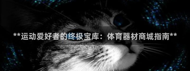 尊龙人生就是博菲律宾台子
