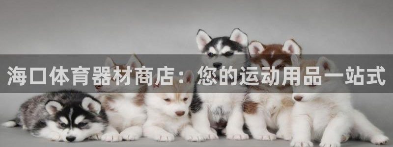 尊龙集团有限公司