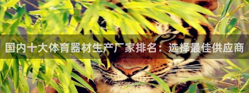 尊龙是什么软件