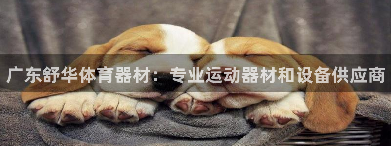 凯时网址多少