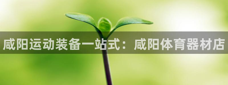 尊龙最经典的三个角色