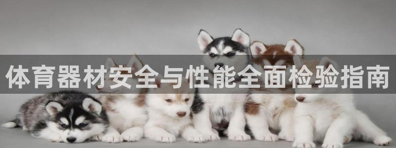 尊龙凯时网站怎么样