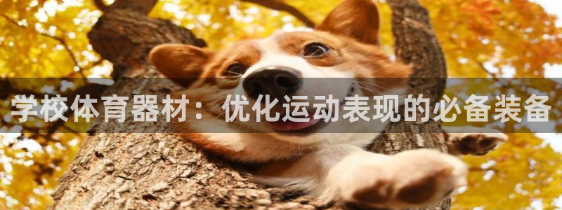 尊龙体育正规么