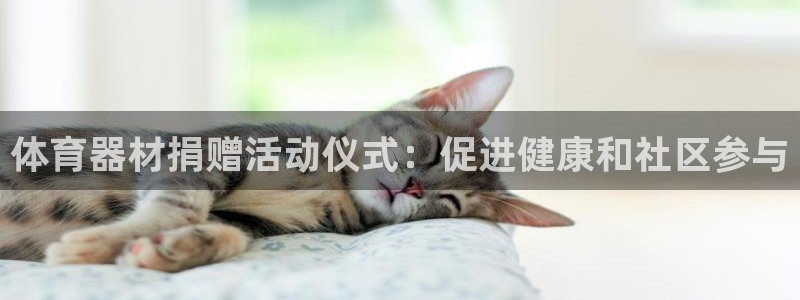 尊龙凯时邀请码