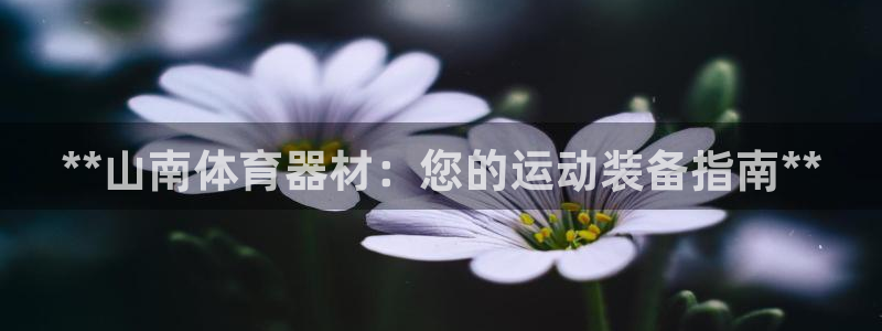 凯时官网