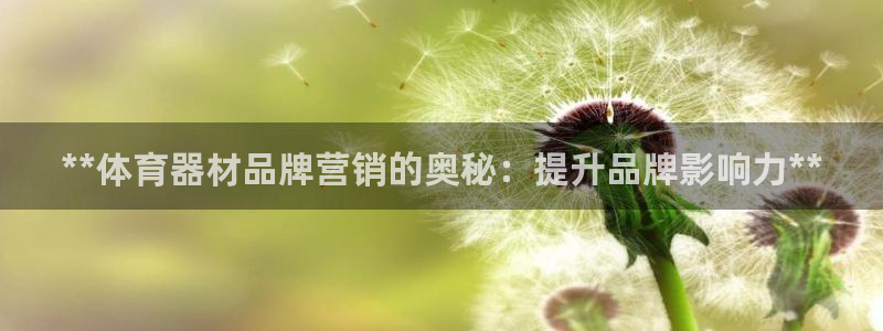尊龙网站手机下载