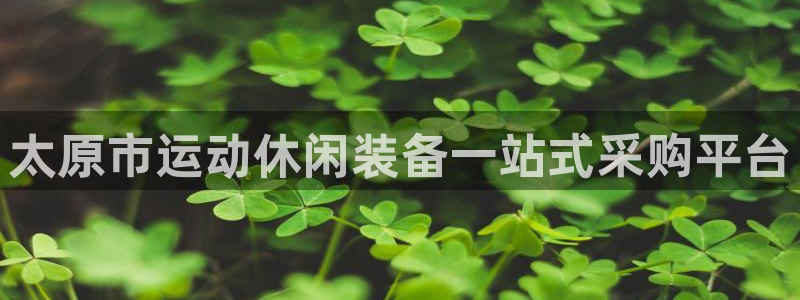 尊龙传奇英文怎么写