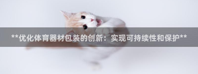 凯时国际官方版