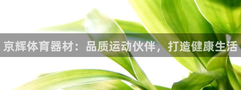 尊龙凯时ag旗舰厅官网客服