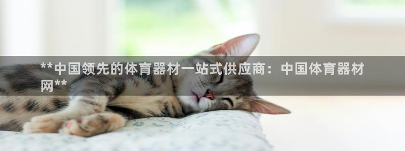 尊龙凯时人生就是搏·(中国)官网