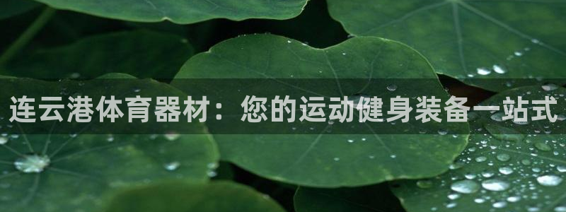 尊龙凯时赞助