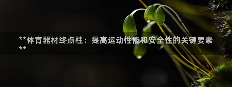 尊龙凯时官网登录入口