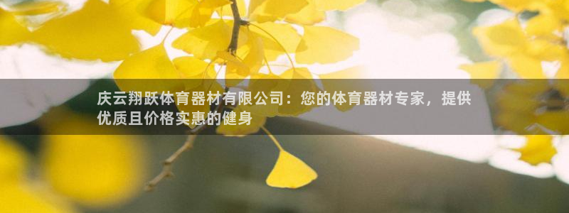 尊龙t500和t300区别