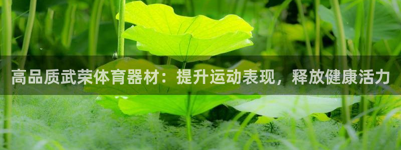 尊龙凯时平台还是万博好