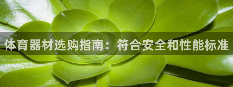 凯时国际app首页