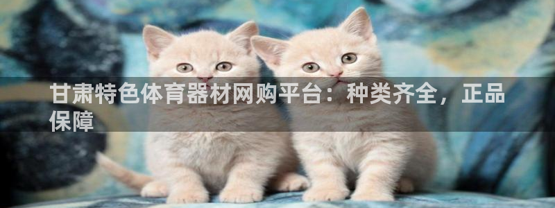 凯时国际娱乐官方网址