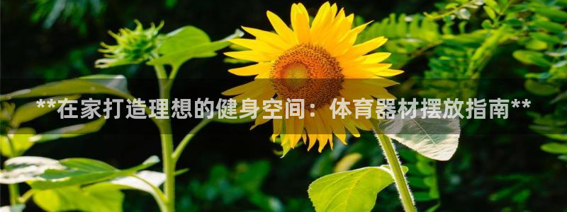 尊龙官网手机版下载