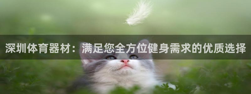 尊龙体育电竞官网