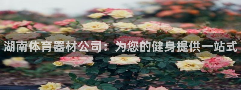 尊龙凯时 - 人生就是搏有假吗