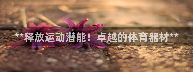尊龙手机官方客户端下载安卓