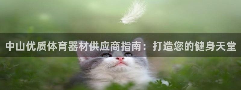 凯时官网手机版下载