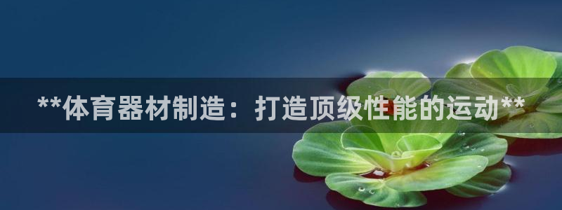 尊龙凯时代理官网入口