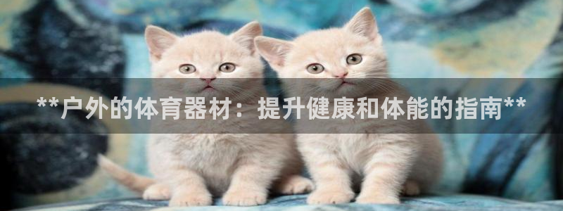 凯时app官网首页