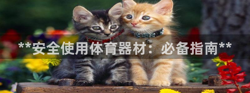 尊龙凯时人生就是搏官方网站