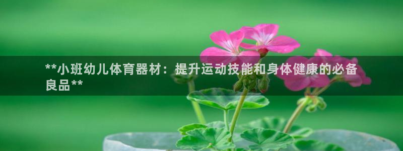 尊龙凯时电竞注册