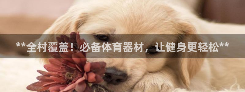 尊龙app|首选agdaohang