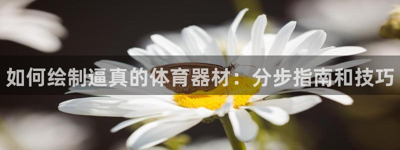 尊龙凯时美金能提取吗