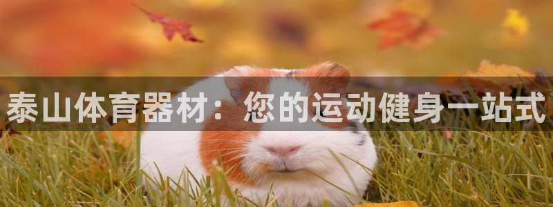 尊龙体育怎么样