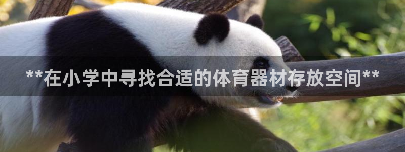 ag旗舰平台尊龙代言
