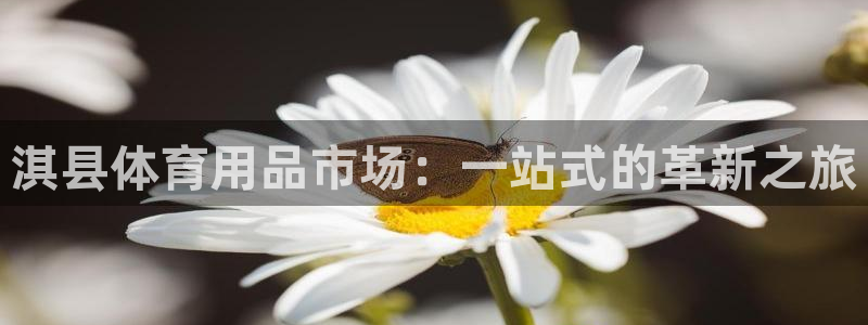 ag尊龙官方网站app