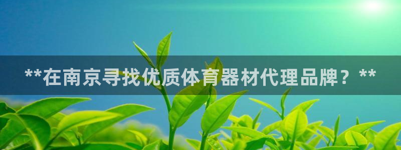 尊龙凯时国际：**在南京寻找优质体育器材代理品牌？**