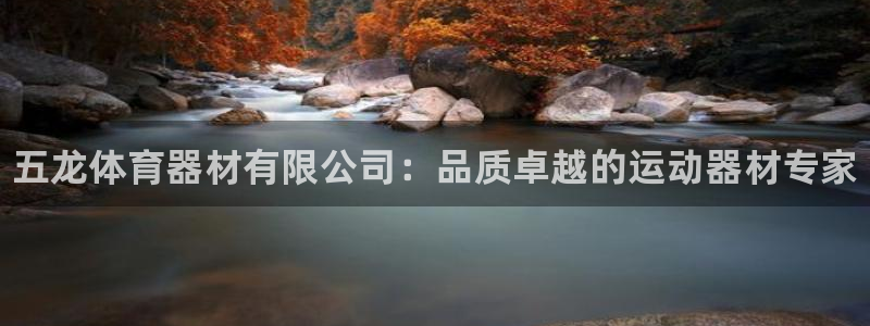 尊龙凯时老板：五龙体育器材有限公司：品质卓越的运动器材专家
