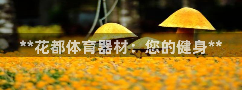 尊龙d88现金可来就送38：**花都体育器材：您的健身**