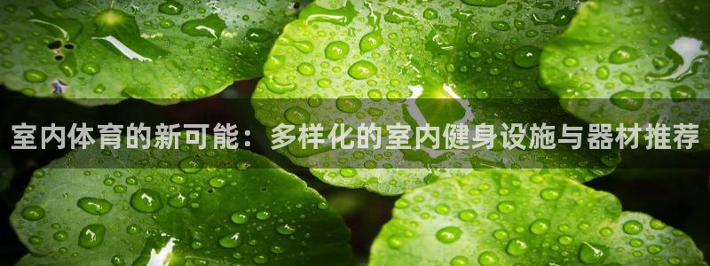 kb88凯时SO权威AG发财网