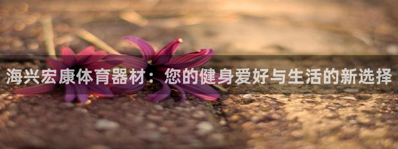 尊龙Ag：海兴宏康体育器材：您的健身爱好与生活的新选择
